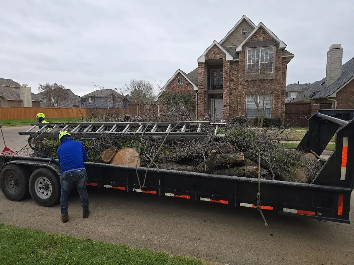 Expert Tree Removal with proper safety equipment in West Granby